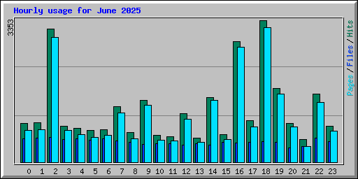 Hourly usage for June 2025
