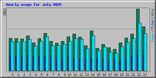 Hourly usage for July 2025