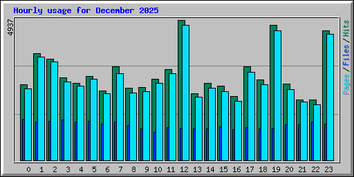 Hourly usage for December 2025