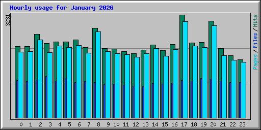 Hourly usage for January 2026
