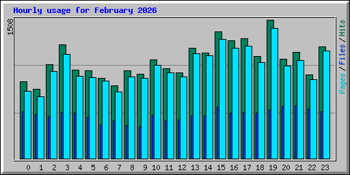 Hourly usage for February 2026