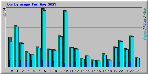 Hourly usage for May 2025