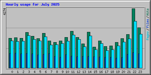 Hourly usage for July 2025