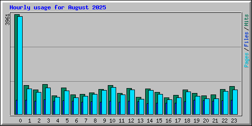 Hourly usage for August 2025