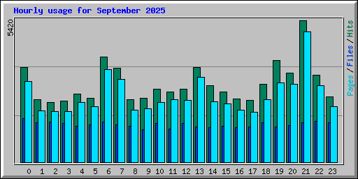 Hourly usage for September 2025