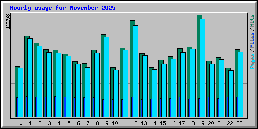 Hourly usage for November 2025