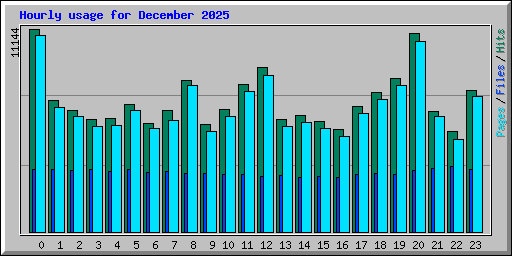 Hourly usage for December 2025